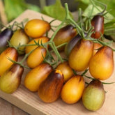 Hectarul - Seminte de tomate cherry INDIGO tip para, 0,2 gr, FLORIAN